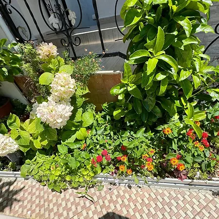 Hillside Haven * Škalngur