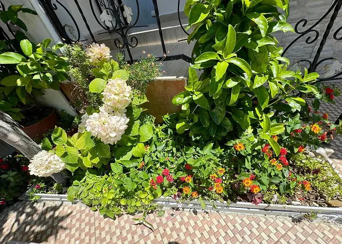 Hillside Haven * Škalngur